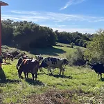 As Neveiras בית נופש Fixo