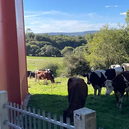 別荘 As Neveiras Fixo