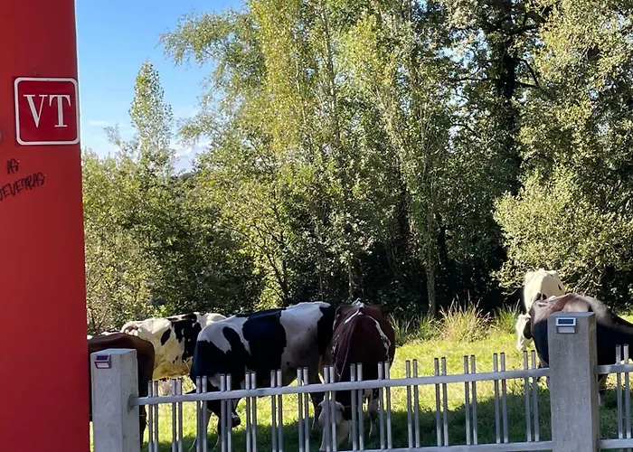 As Neveiras 別荘 Fixo