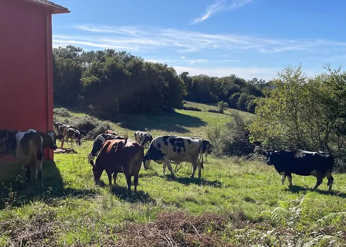 As Neveiras 別荘 Fixo