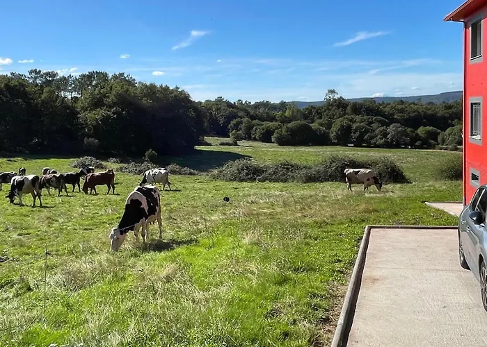 別荘 As Neveiras *